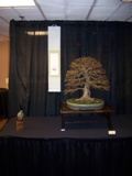 Annual Show 2011 - 2 2011
